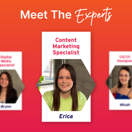 Experts in Every Corner_blog cover_Erica