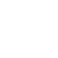 logo_bourbonsalute