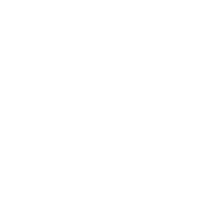 logo_verityjet